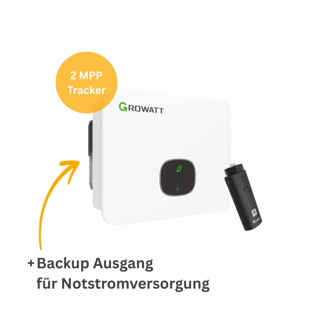 6.webp