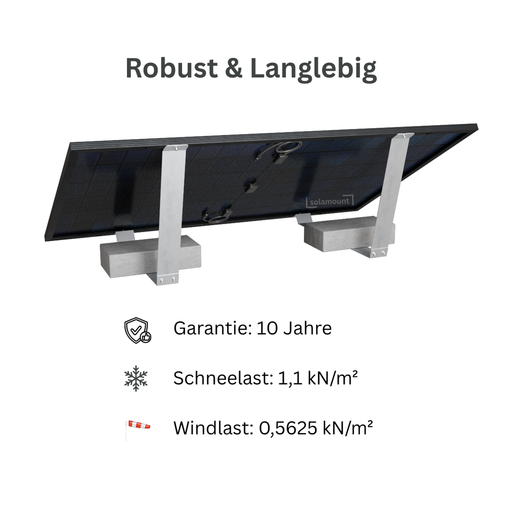 Langlebigkeit.webp