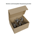 4er Set Dachhaken.webp