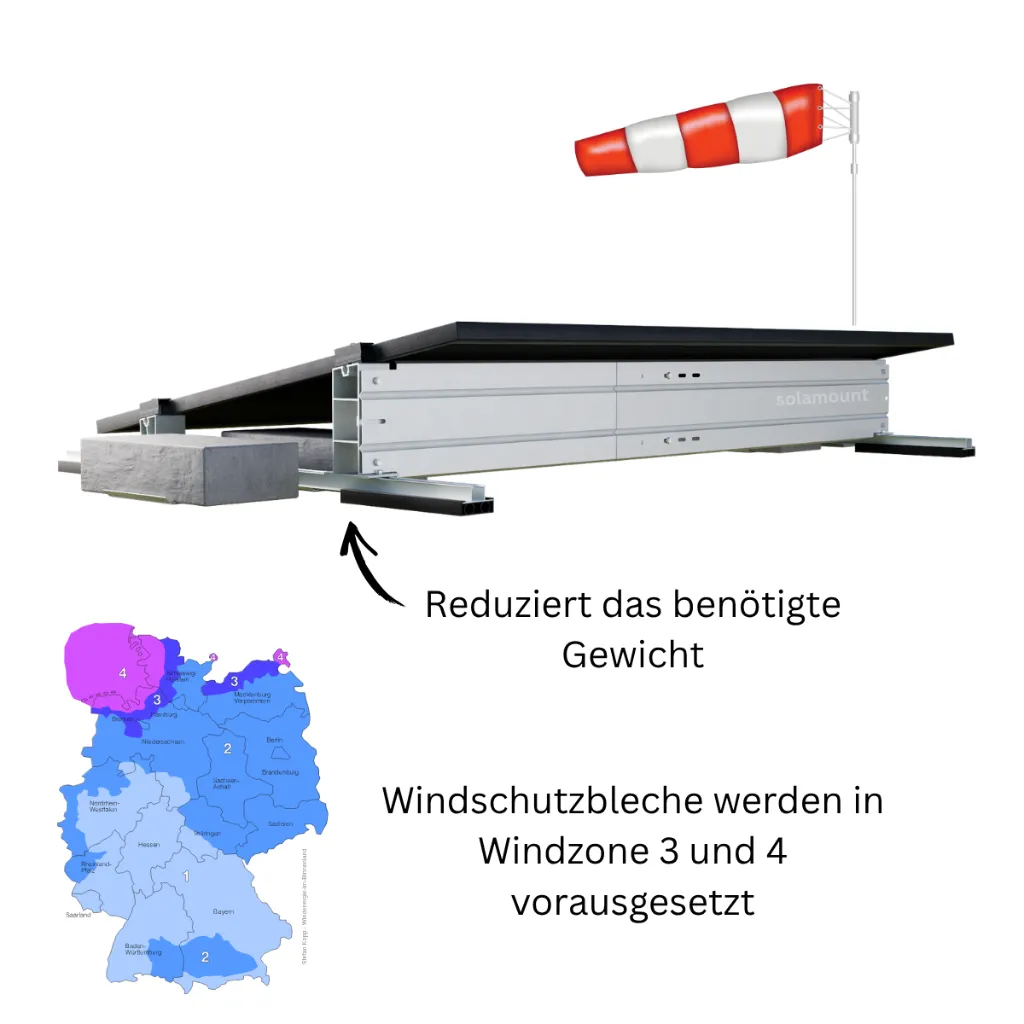 5.webp