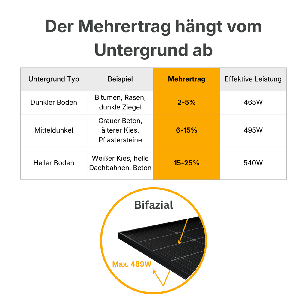 5.webp