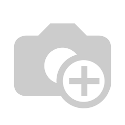 2er Flachdach Halterung___.webp